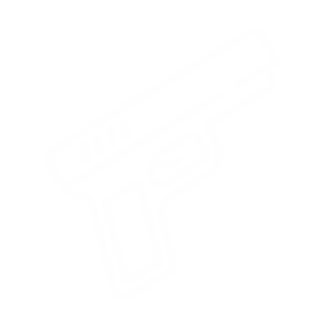 Armed Guarding